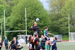 img_8361-2.jpg - JPEG - 463.4 ko - 2000×1333 px