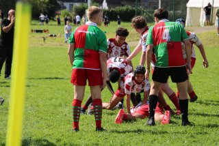 img_8446.jpg - JPEG - 382.7 ko - 1500×1000 px