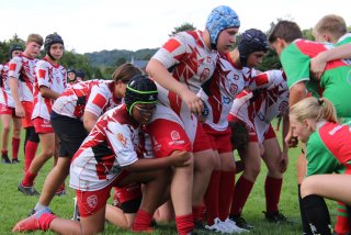 img_8456.jpg - JPEG - 294.1 ko - 1500×1000 px