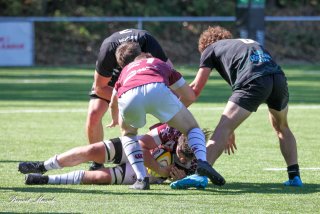 img_8982-2.jpg - JPEG - 488.2 ko - 2000×1333 px