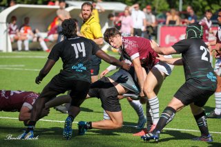 img_9012.jpg - JPEG - 67.6 ko - 800×533 px