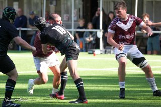 img_9051-2.jpg - JPEG - 403.9 ko - 2000×1333 px