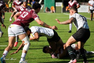 img_9226-2.jpg - JPEG - 443.4 ko - 2000×1333 px