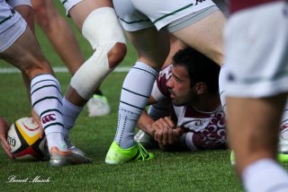 img_9233.jpg - JPEG - 350.3 ko - 2000×1333 px