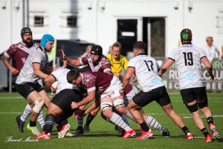 img_9395-3.jpg - JPEG - 391.2 ko - 2000×1333 px