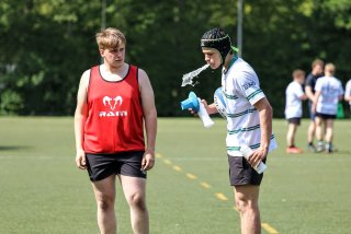 img_9980-2.jpg - JPEG - 300.8 ko - 2000×1333 px