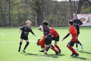 imgl2354.jpg - JPEG - 696 ko - 1005×670 px