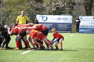 imgl2363.jpg - JPEG - 855.8 ko - 1005×670 px