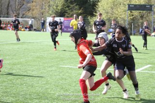 imgl2366.jpg - JPEG - 735 ko - 1005×670 px