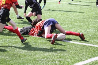 imgl2368.jpg - JPEG - 985.1 ko - 1005×670 px