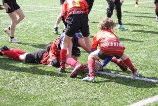 imgl2369.jpg - JPEG - 962.9 ko - 1005×670 px