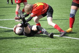 imgl2379.jpg - JPEG - 828.2 ko - 1005×670 px