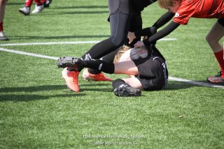 imgl2380.jpg - JPEG - 836.5 ko - 1005×670 px