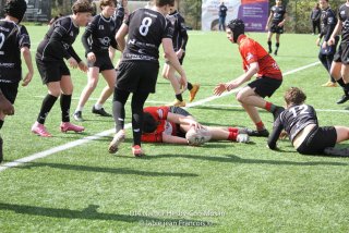 imgl2404.jpg - JPEG - 931.8 ko - 1005×670 px