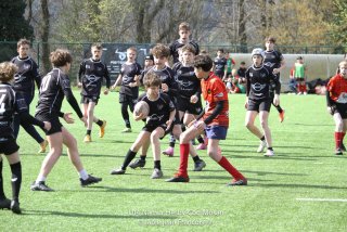 imgl2419.jpg - JPEG - 920.5 ko - 1005×670 px