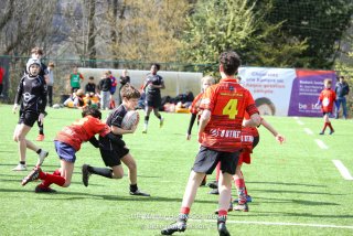 imgl2420.jpg - JPEG - 886.8 ko - 1005×670 px