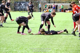 imgl2422.jpg - JPEG - 957.8 ko - 1005×670 px