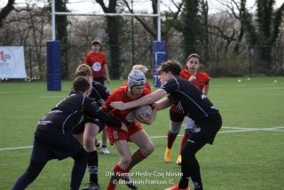 imgl2480.jpg - JPEG - 582.7 ko - 1005×670 px