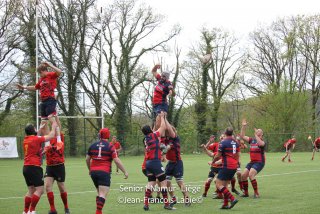 imgl3479.jpg - JPEG - 966.2 ko - 1005×670 px