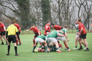 imgl6991.jpg - JPEG - 540 ko - 2000×1333 px