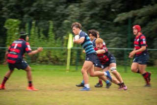 jgi_9755.jpg - JPEG - 207.4 ko - 2048×1367 px