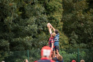 jgi_9798.jpg - JPEG - 277.1 ko - 2048×1367 px