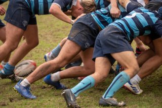 jgi_9805.jpg - JPEG - 311.8 ko - 2048×1367 px