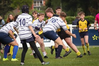 lh_brc_u14_marcq_en_baroel_tournament_-_apr_2024-8937_jpg_compressed.jpg - JPEG - 277.5 ko - 1500×1000 px