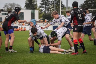 lh_brc_u14_marcq_en_baroel_tournament_-_apr_2024-9098_jpg_compressed.jpg - JPEG - 364 ko - 1500×1000 px