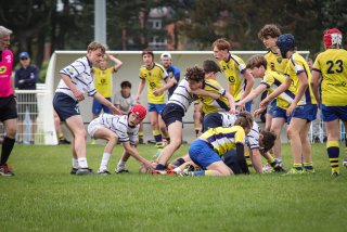 lh_brc_u14_marcq_en_baroel_tournament_-_apr_2024-9204_jpg_compressed.jpg - JPEG - 311.4 ko - 1500×1000 px
