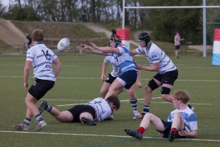rugby_rcl_gent_18_april_2026-27.jpg - JPEG - 359.4 ko - 2000×1334 px