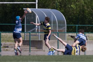 rugby_roc_-_rcl_25_april_2026-30_30_.jpg - JPEG - 300.5 ko - 2000×1334 px