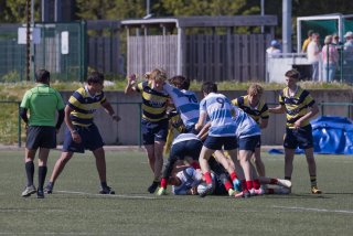 rugby_roc_-_rcl_25_april_2026-30_52_.jpg - JPEG - 408.8 ko - 2000×1334 px