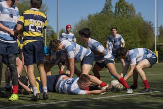 rugby_roc_-_rcl_25_april_2026-30_76_.jpg - JPEG - 430.6 ko - 2000×1334 px