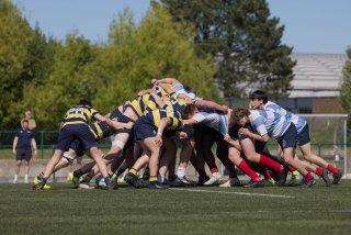 rugby_roc_-_rcl_25_april_2026-30_78_.jpg - JPEG - 395.4 ko - 2000×1334 px