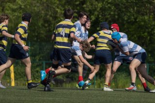 rugby_roc_-_rcl_25_april_2026-30_99_.jpg - JPEG - 354.8 ko - 2000×1334 px