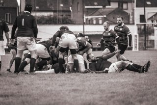 senior_binche_-_ciney_2024_-_rugby_-_rcc_binche_-_www.photoperinne.be_-_photo_sportive_-16.jpg - JPEG - 392.3 ko - 2000×1333 px