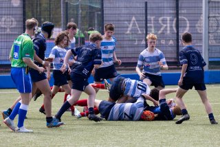 u16_rcl_-_vise_28_april_2024-28.jpg - JPEG - 558.2 ko - 2000×1334 px