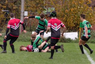 u18_binche_-_antwerpen_2024_-_rugby_-_rcc_binche_-_www.photoperinne.be_-_photo_sportive_-03.jpg - JPEG - 413.1 ko - 2000×1333 px