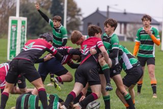 u18_binche_-_antwerpen_2024_-_rugby_-_rcc_binche_-_www.photoperinne.be_-_photo_sportive_-07.jpg - JPEG - 385.4 ko - 2000×1333 px
