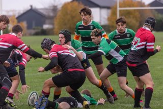 u18_binche_-_antwerpen_2024_-_rugby_-_rcc_binche_-_www.photoperinne.be_-_photo_sportive_-08.jpg - JPEG - 381.4 ko - 2000×1333 px