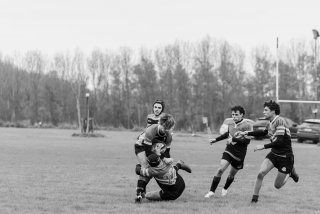 u18_binche_-_antwerpen_2024_-_rugby_-_rcc_binche_-_www.photoperinne.be_-_photo_sportive_-35.jpg - JPEG - 294.7 ko - 2000×1333 px