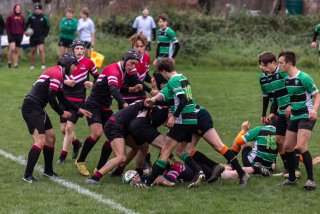 u18_binche_-_antwerpen_2024_-_rugby_-_rcc_binche_-_www.photoperinne.be_-_photo_sportive_-53.jpg - JPEG - 438 ko - 2000×1333 px