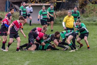 u18_binche_-_antwerpen_2024_-_rugby_-_rcc_binche_-_www.photoperinne.be_-_photo_sportive_-58.jpg - JPEG - 516.6 ko - 2000×1333 px