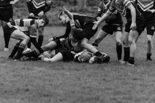 u18_binche_-_antwerpen_2024_-_rugby_-_rcc_binche_-_www.photoperinne.be_-_photo_sportive_-69.jpg - JPEG - 415.4 ko - 2000×1333 px