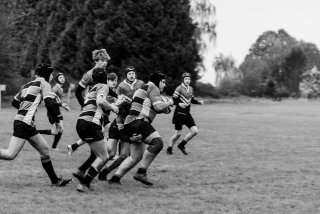 u18_binche_-_antwerpen_2024_-_rugby_-_rcc_binche_-_www.photoperinne.be_-_photo_sportive_-70.jpg - JPEG - 327.8 ko - 2000×1333 px
