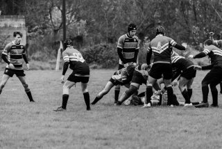 u18_binche_-_antwerpen_2024_-_rugby_-_rcc_binche_-_www.photoperinne.be_-_photo_sportive_-72.jpg - JPEG - 397.9 ko - 2000×1333 px