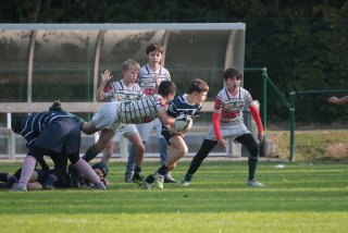 vb_a0224.jpg - JPEG - 362.5 ko - 2000×1333 px