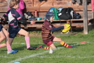 vb_a0245.jpg - JPEG - 399.5 ko - 2000×1333 px