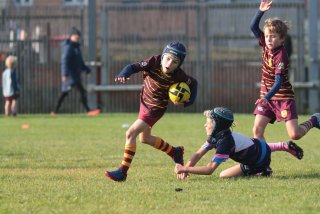 vb_a0253.jpg - JPEG - 339.9 ko - 2000×1333 px